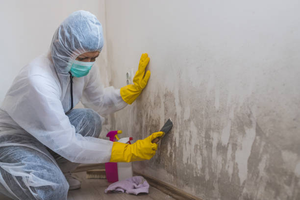 Best Crawl Space Mold Removal  in Jessup, MD