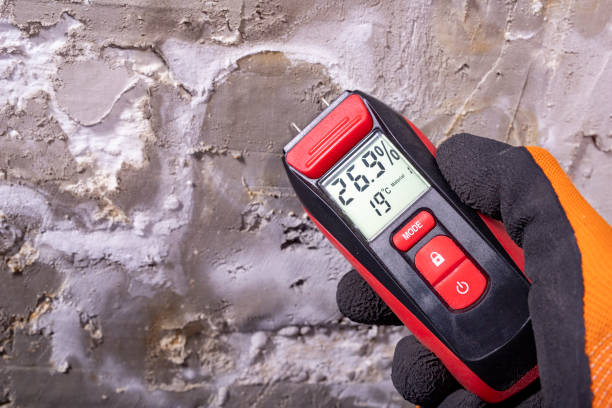 Best Commercial Mold Removal  in Jessup, MD